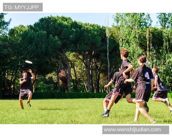 飞盘纪实：记录西安飞盘队的逆袭之旅_1